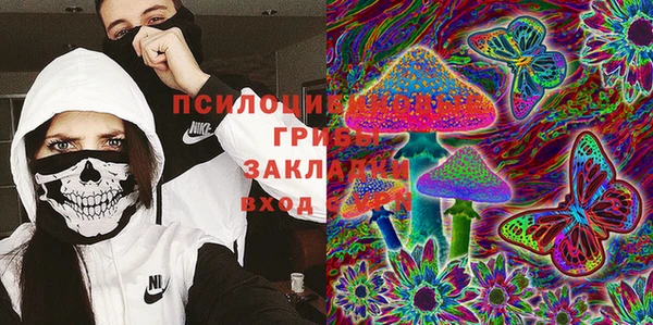 а пвп мука Алзамай