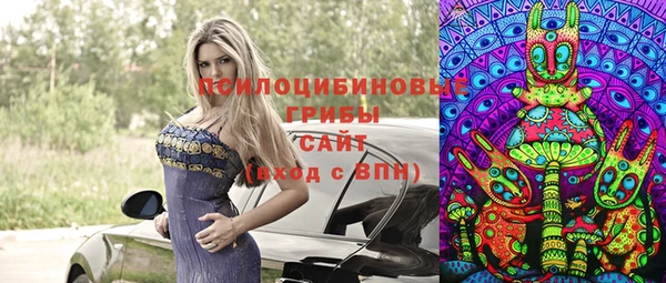 а пвп мука Алзамай