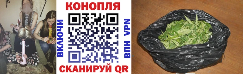 Каннабис Bruce Banner Далматово